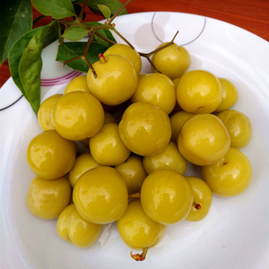 900克广西玉林特产城宏朝酸料腌泡酸李子酸嘢 产地直销