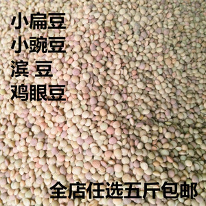 小扁豆 鸡眼豆 山地小扁豆 粗粮 小豌豆 小扁豆 散装称重