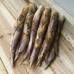 浙江带壳马鞭笋毛竹笋当季新鲜边笋扁笋竹鞭笋夏笋现挖鲜笋食用4