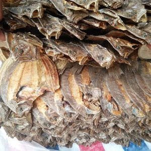 大地鱼干铁铺鱼干比目鱼扁鱼干干货可磨粉做酱做粤菜汤底辅料250g