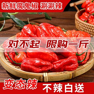 新鲜印度魔鬼椒超辣王云南涮涮辣变态辣死神辣椒百万辣度一份包邮