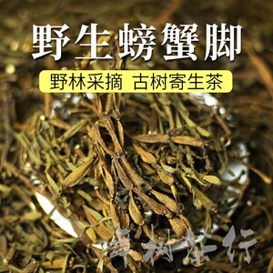 云南野生古树寄生螃蟹脚茶 螃蟹脚茶 500克包邮中药材 非同仁堂