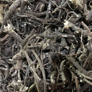 娘伞树 马胎根 矮脚浪伞 铁凉伞 小凉伞 大罗伞根部 500g 纯根