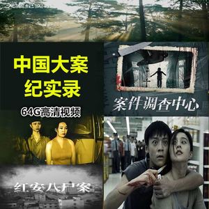 中国大案纪实u盘西部刑侦中国重案纪实侦破实录纪录片电视优盘64g