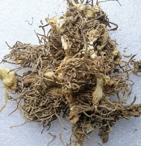 00亳州药都中药养生堂1