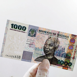 坦桑尼亚纸币
