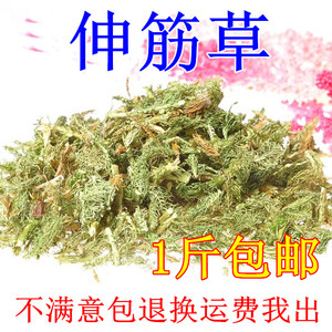 云南野生伸筋草配远志益智仁泡脚马尾申筋草舒筋草通筋草500g包邮