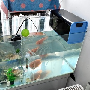 森森鱼缸滴流盒小型乌龟缸过滤盒水幕式静音过滤器循环系统上过滤