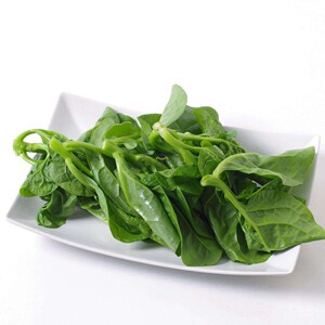 新鲜现摘 木耳菜 田菜 豆腐菜潺菜落葵 农家蔬菜