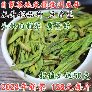 龙井2024新茶雨前龙井茶叶高山绿茶500克豆香花香口粮龙井43品种