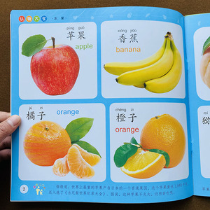 书 宝宝看图识物识字卡片婴幼儿书籍儿童认识图形颜色数字玩具书籍