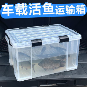 活鱼周转箱户外车载后备箱活鱼运输水箱长方形密封条收纳钓鱼箱养