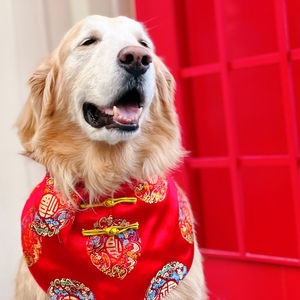 tb3701931656淘宝宠物围巾围兜大狗狗口水巾萨摩巨贵金毛饰品中大型