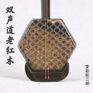 双声道二胡