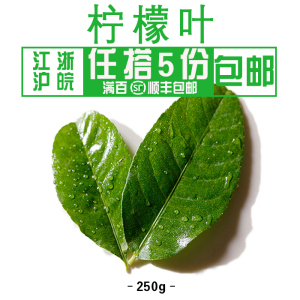 【凡萃生鲜】新鲜柠檬叶250g 青柠叶冬阴功汤调香料满5件包邮