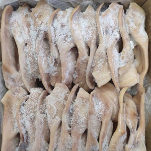 冷冻新鲜猪耳朵 无毛生猪耳朵 21片左右 20斤一箱 江浙沪皖包邮