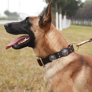 牛皮马犬狗狗项圈中大型犬金毛德牧用品铃铛铆钉颈圈拴狗防咬脖套
