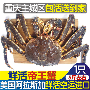 重庆1只美国进口阿拉斯加帝王蟹野生超大螃蟹新鲜活深海蟹5斤左右