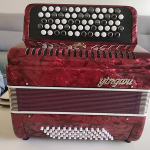 鹦鹉手风琴巴扬