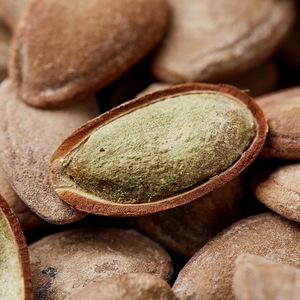 吊瓜子大籽散装