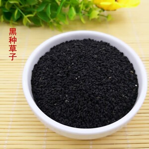 中药材 黑种草籽 500克包邮  野生黑种草子 新疆黑种草籽 黑种子