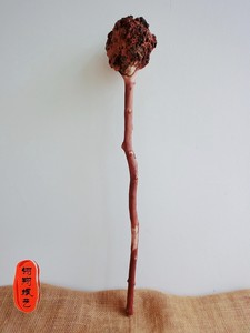 云南黑果木根艺