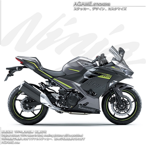 摩托车贴纸 川崎ninja400 zx4r 2021年全车改装贴纸防水反光拉花