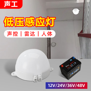 低压声控LED太阳能人体感应灯12v24v36v伏电瓶池直流ACDC雷达智能