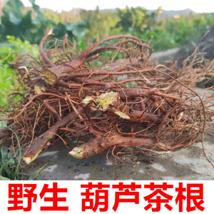 野生葫芦茶根 咸鱼草 纯根 迫颈草葫芦茶 牛虫草 金剑草250克干品