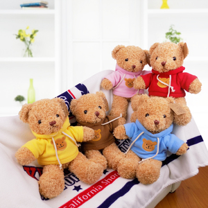 海藻毛穿衣泰迪熊毛绒玩具公仔儿童抱抱熊玩偶布娃娃女生生日礼物