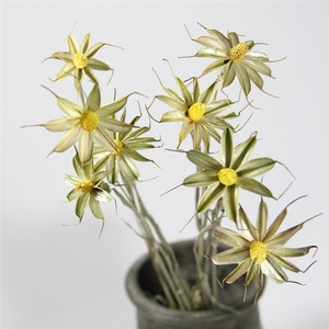 手工干花 文艺清新兰花乡村风家庭屋内办公室diy插花拍摄道具装饰