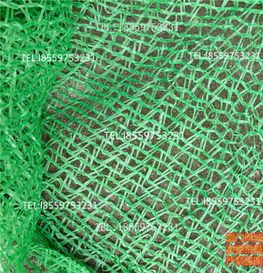 6厦门目网网密网绿化盖土环保网针覆盖网防尘43绿网针针工地检查