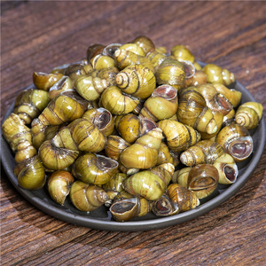 千岛湖特产水库清水螺蛳山坑螺新鲜活体淡水小田螺500g泥螺嗦螺丝