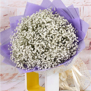 七夕情人节蓝粉紫色满天星干花生日花束同城鲜花速递广州深圳送花