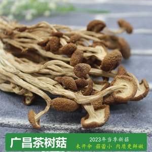 广昌茶树菇江西特产食用菌农产品嫩香菇营养黄面菌菇干货非古田菇