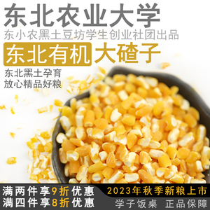 学子饭桌东北有机大碴子农家自产玉米碴子大粒玉米糁粗2023年新货