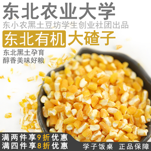学子饭桌东北有机大碴子农家自产玉米碴子大粒玉米糁粗2023年新货