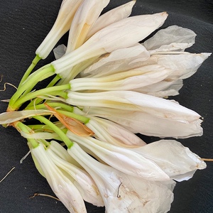 云南大白花 白露花 云南特产野菜大白花纯野生百花菜顺丰空运包邮