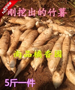 竹薯竹芋冬薯节薯 广东农家自种新鲜薯类 煲汤优选粉竹根薯 5食材