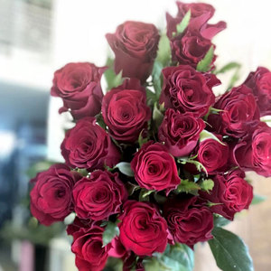 云南昆明鲜花经典红玫瑰卡罗拉一扎20支婚礼求婚红色七夕插花包邮