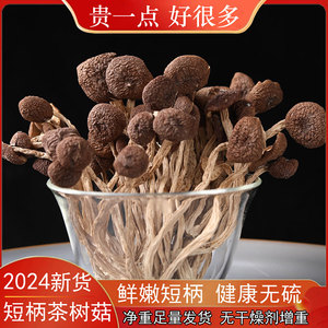 云南一级茶树菇干货官方旗舰店特级煲汤干锅商用干茶树菇小蘑菇