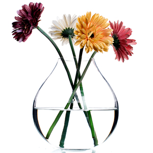 朗峰简约 现代玻璃花瓶灵感花瓶v1 欧式花插 餐桌摆设花器玻璃瓶