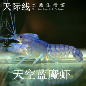 人体艺高清大图,人体艺高清大图艺术,人体艺高清大图图片