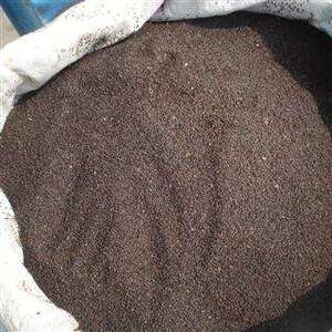 云南野生药材车前子 纯天然车前草种子干货 500克 另仙鹤草老鹳草