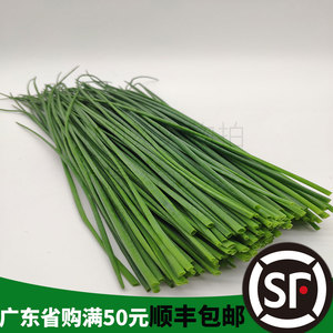 新鲜西餐厅用菜虾夷葱西细葱chives小葱法葱仔细香葱法国香葱