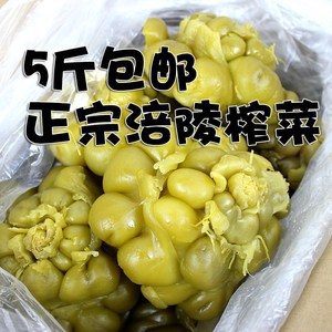 大头新鲜榨菜