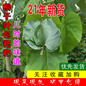 重庆野生21年新鲜桐子叶包粑粑现摘树叶50张油桐叶包材桐子果包邮