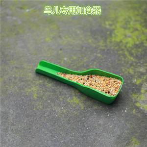 投食器鸟