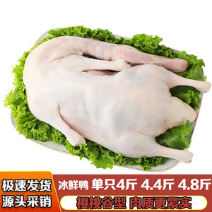 冷冻鲜白条鸭4.4斤4.8斤/6只生光鸭整鸭盐水樱桃谷瘦肉型烤鸭商用
