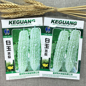 白玉苦瓜种子观果瓜抗病高产四季苦瓜种孑春季夏秋蔬菜禾之元国产